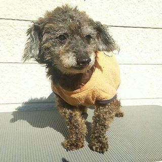 過酷な環境を生きて来ました