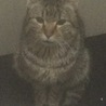 のんぴ