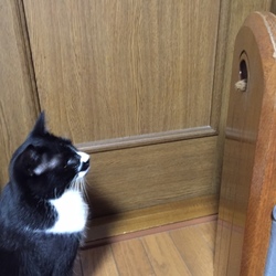 「遊び道具は色々？！　斑釣り　（＾Ｏ＾）」サムネイル2