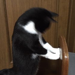 「遊び道具は色々？！　斑釣り　（＾Ｏ＾）」サムネイル3