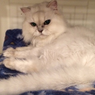 管理番号：OS−125