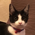 ナツちゃん