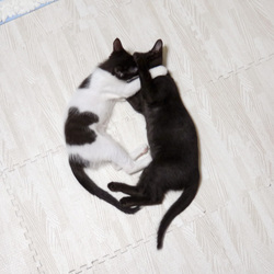 遊び疲れておやすみなさい