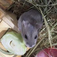 アオちゃん