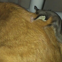 長男スーは諦めが早かったYO