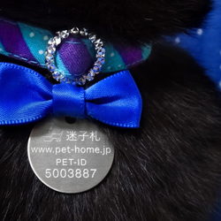 IDタグと首輪のお話