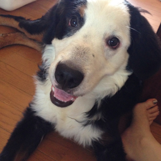 無事決まりました、ありがとうございました