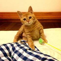 お引き渡し後の気持ち