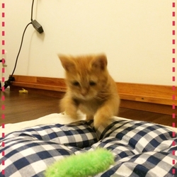 「お引き渡し後の気持ち」サムネイル2