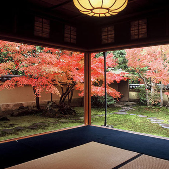 ぼん太のカバー写真