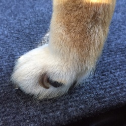 「月に一度のお勤め　（－－メ」サムネイル2