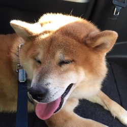 「月に一度のお勤め　（－－メ」サムネイル3