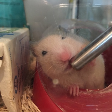 の写真