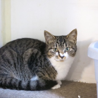 道路脇の植え込みの中で育ちました