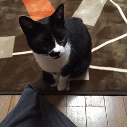 「冬支度　」サムネイル3