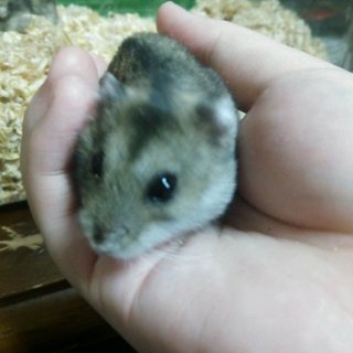 二匹とも里親様が決まりました！