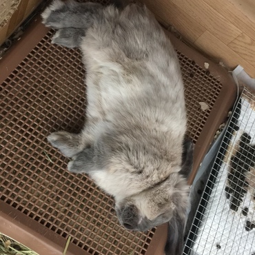 こんな格好で寝ます