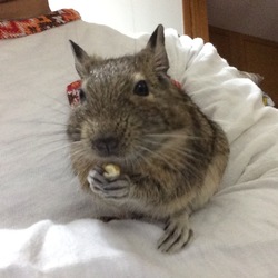 だんだん慣れてきました（笑）