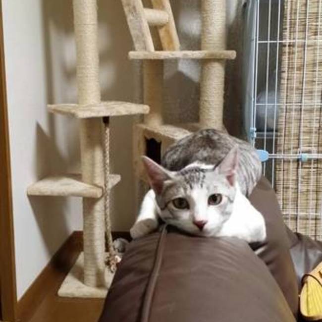 ☆まりりん☆のカバー写真