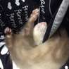 の写真