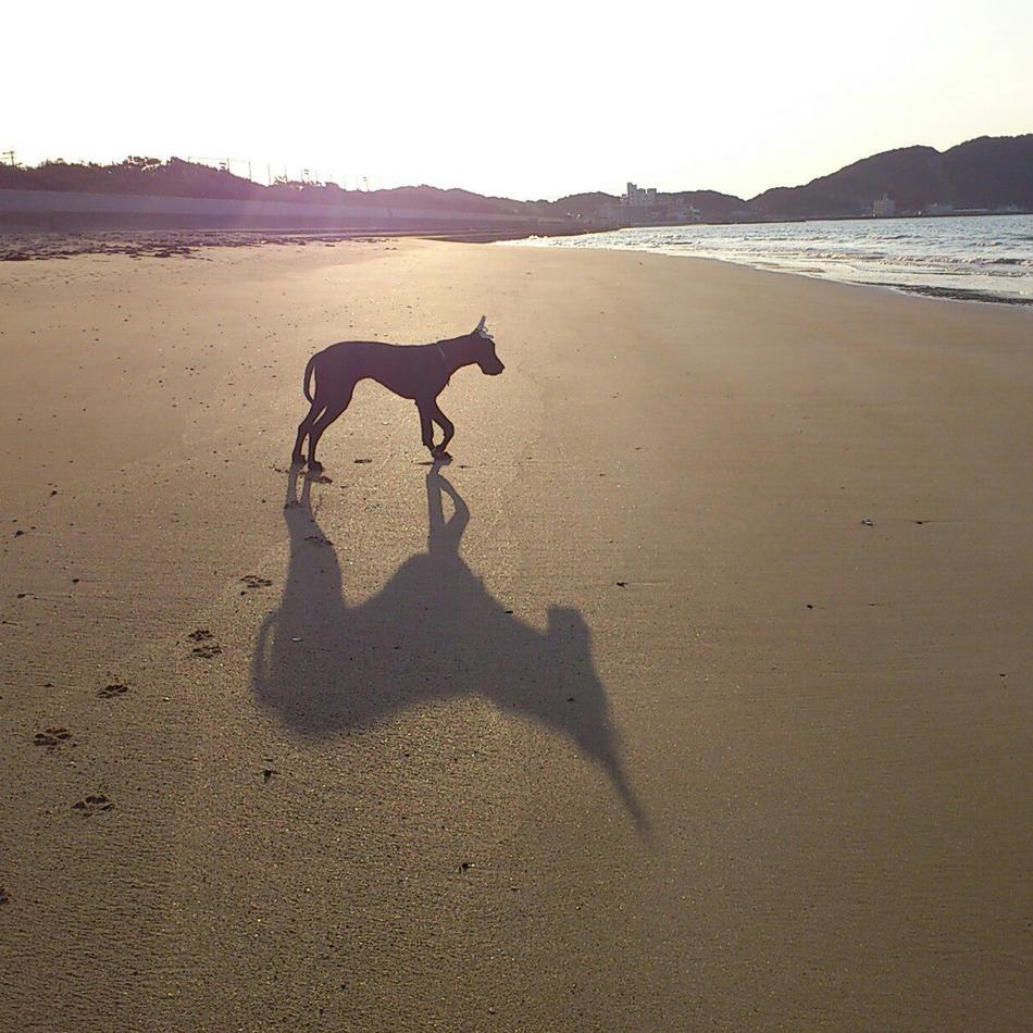 Lily（リリィ）のカバー写真