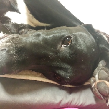 まだ起きたくな～い...