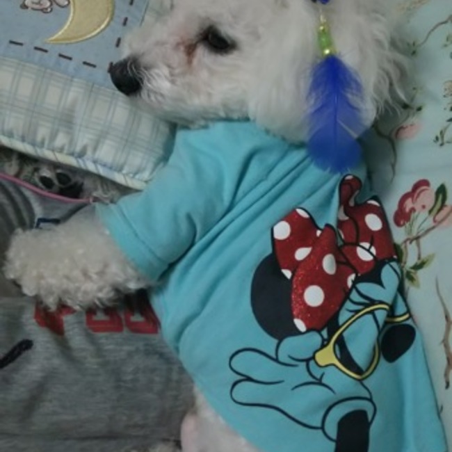 alohaとｍａｈａｎａのカバー写真