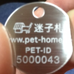 「メイのIDタグが‥‥」サムネイル2