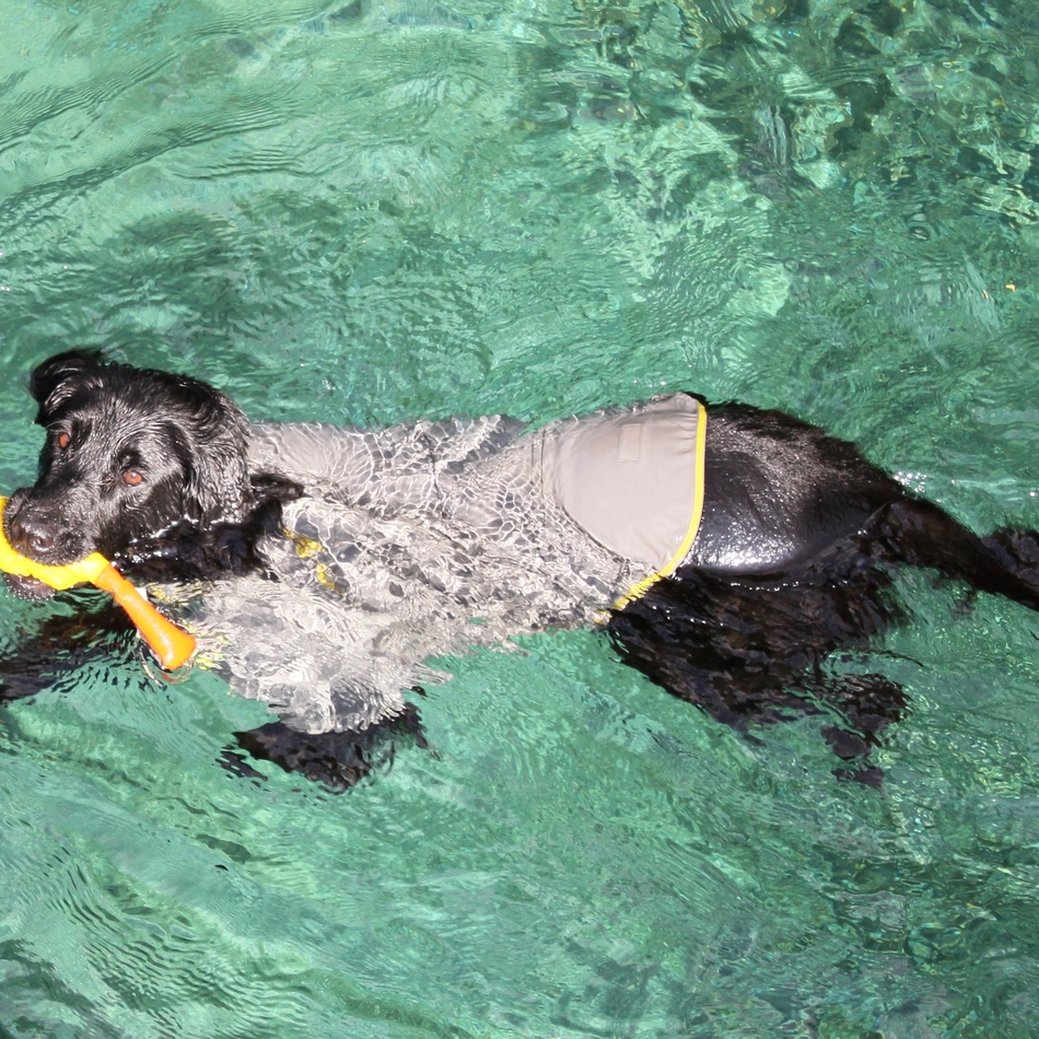 マリンのカバー写真
