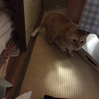 助けてください…