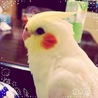 ERi◎