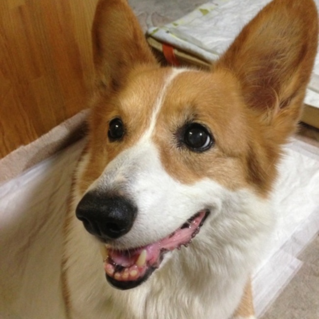 ERi◎のカバー写真