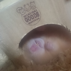 ようやっと！ part2