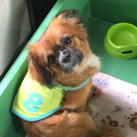 ちゃちゃ