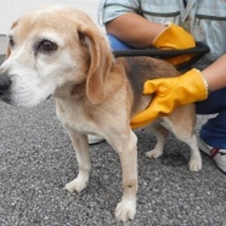 優しいママとパパ、お兄ちゃんもできました♡