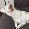 まいひさ