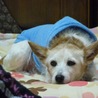 Yuma.Y♡