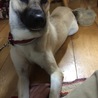 くつろぎモード