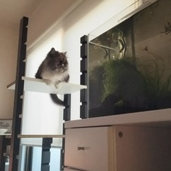 「気になるな～」サムネイル1