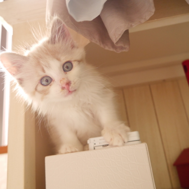 ten2setsupanのカバー写真