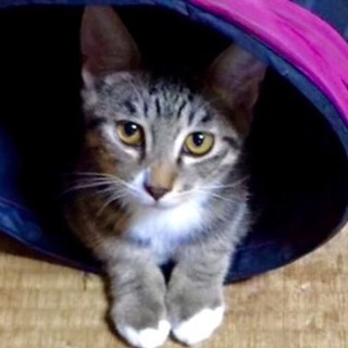 四人兄弟♡の内1人目！シマちゃん