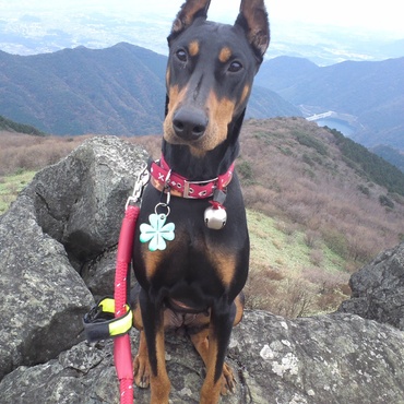 2回目の福智山登山 国見岩の上で