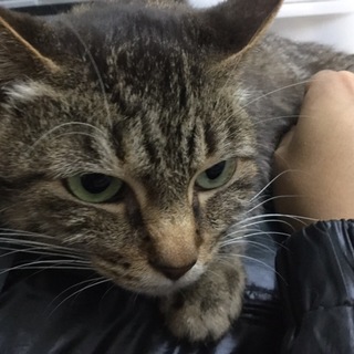 人懐っこい甘えん坊です！！！