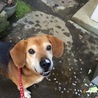 渡辺モカ