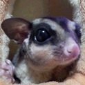 お問い合わせ一旦ストップさせて頂きます。