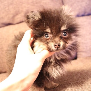 募集ストップします