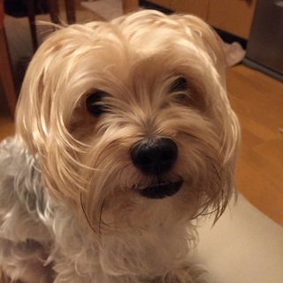 ただいま交渉中につき一旦応募を締め切ります