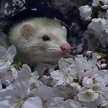 の写真