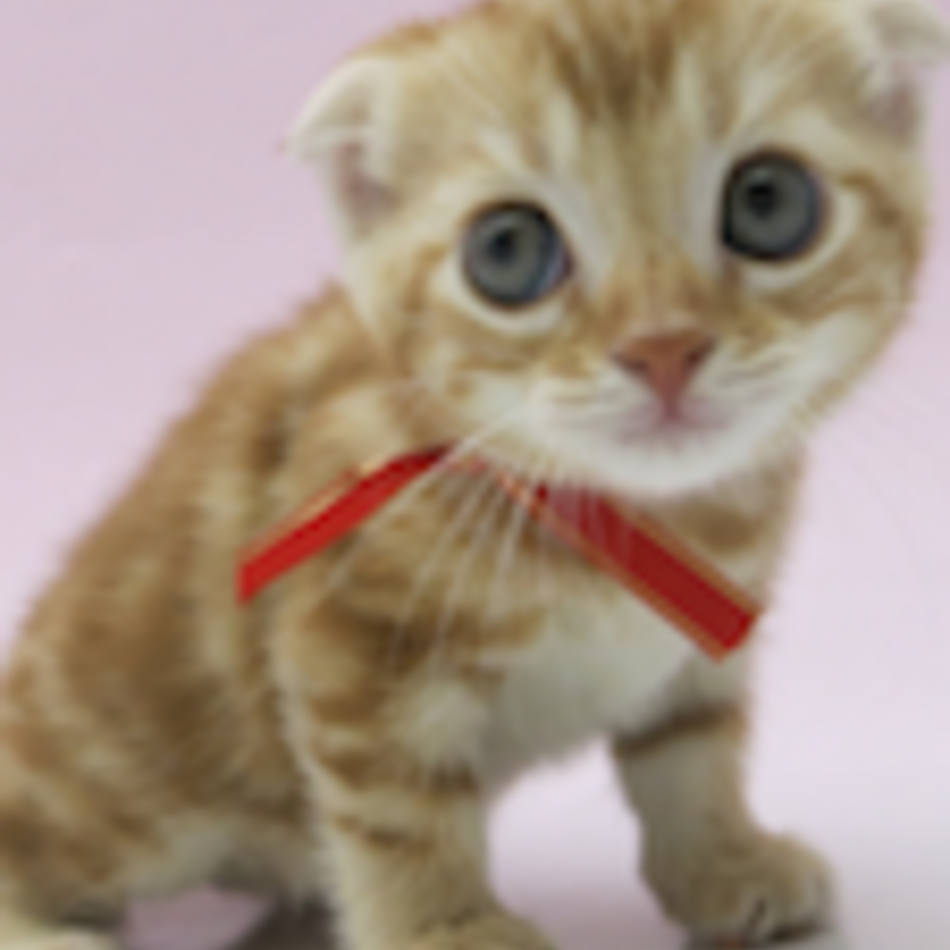 花*のカバー写真