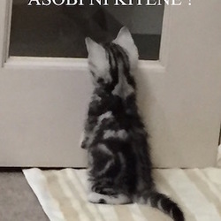 初めまして⭐︎